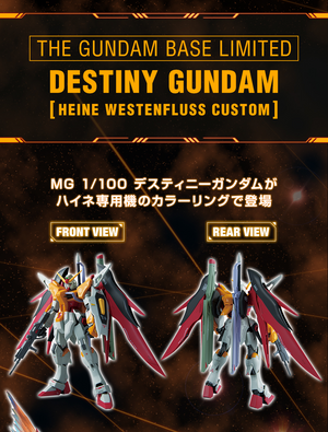 Gundam Base Limited MG 1/100 Destiny Gundam [Heine Westenfluss Custom]