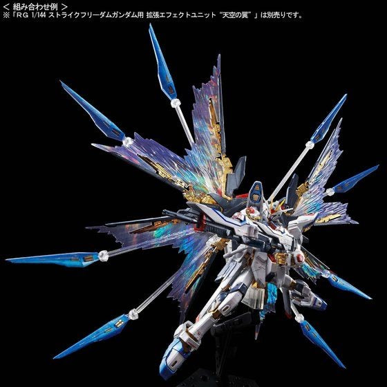 RG 1/144 Strike Freedom Gundam [Titanium Finish ver.] (September & October Ship Date)