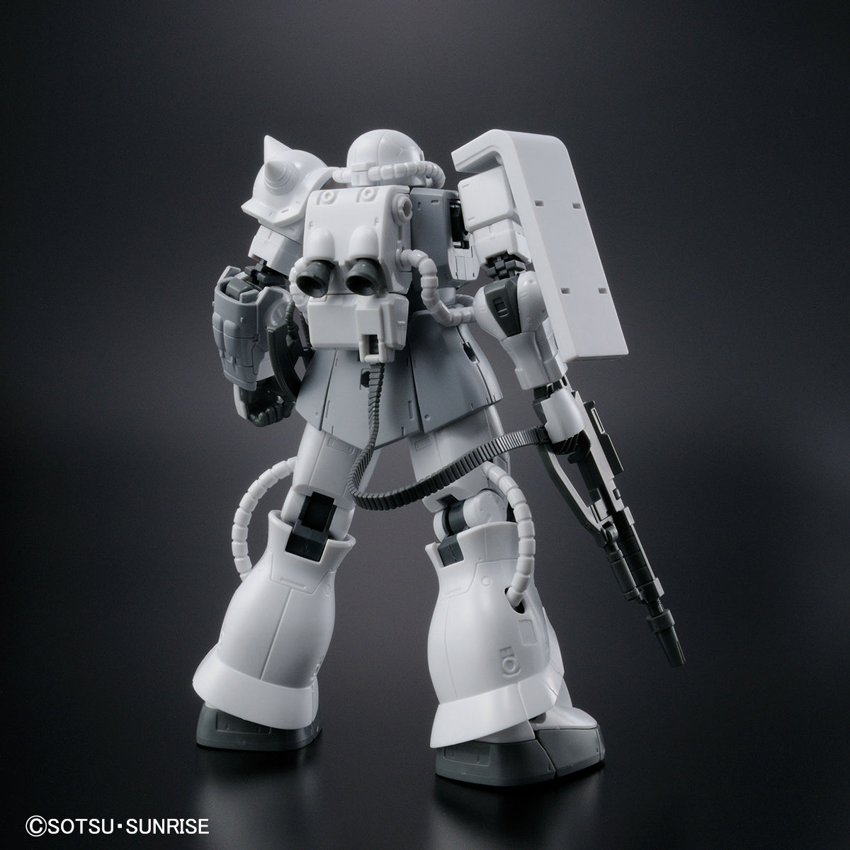 HG 1/144 Gundam Base Limited Zaku II TYPE C-6 / R6 [Painting Model]