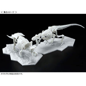 LIMEX Plastic Dinosaur Skeleton Model - Triceratops (July & August Ship Date)