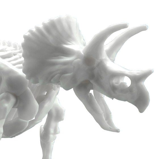 LIMEX Plastic Dinosaur Skeleton Model - Triceratops (July & August Ship Date)