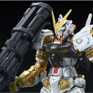 RG 1/144 Gundam Astray Gold Frame (September & October Ship Date)