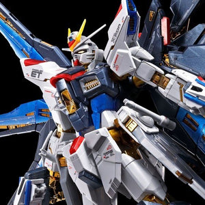RG 1/144 Strike Freedom Gundam [Titanium Finish ver.]